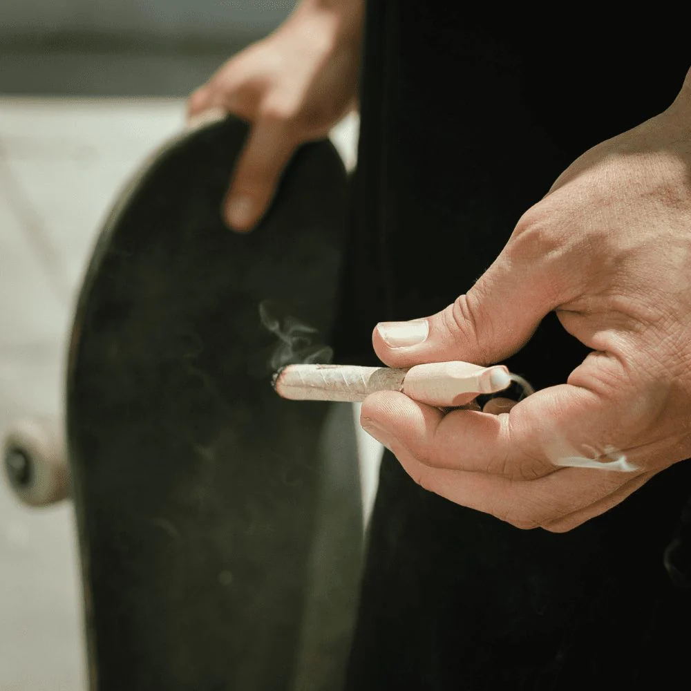 ORIGINAL CANNAMOLD KIT - Image 31