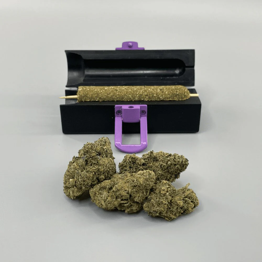 ORIGINAL CANNAMOLD KIT - Image 50