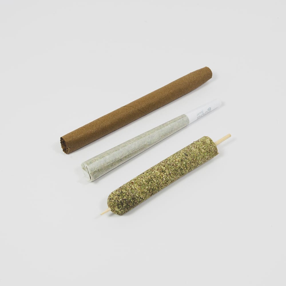 ORIGINAL CANNAMOLD KIT - Image 51