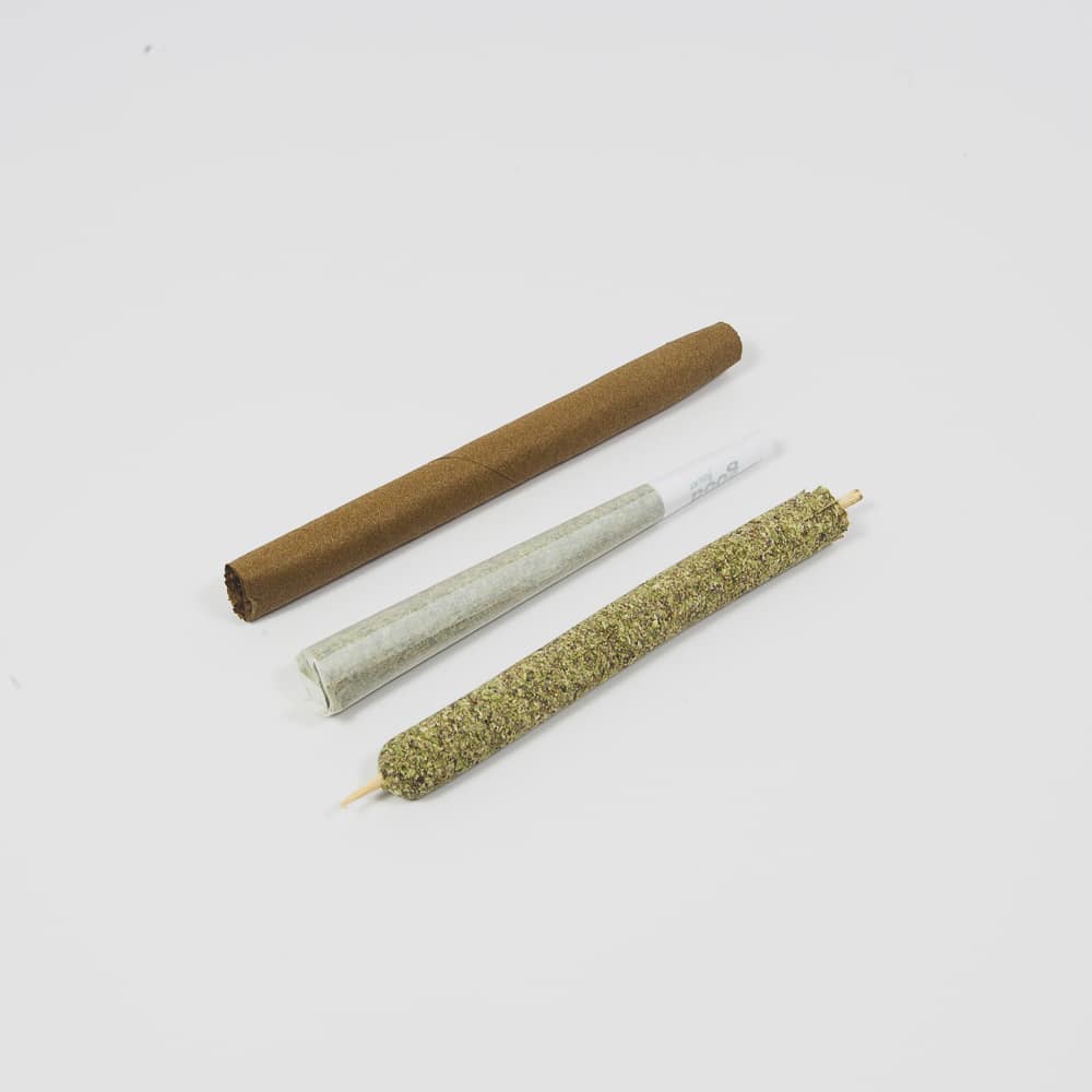 PERSONAL - CANNAMOLD KIT - BYOB - Image 18